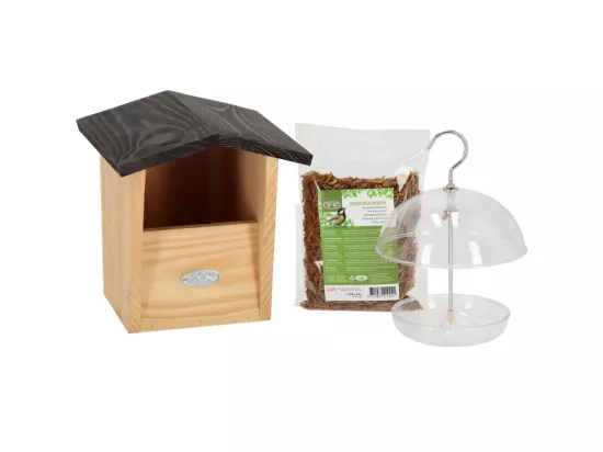 Set abri mangeoire et graines oiseaux Pour rouge-gorges