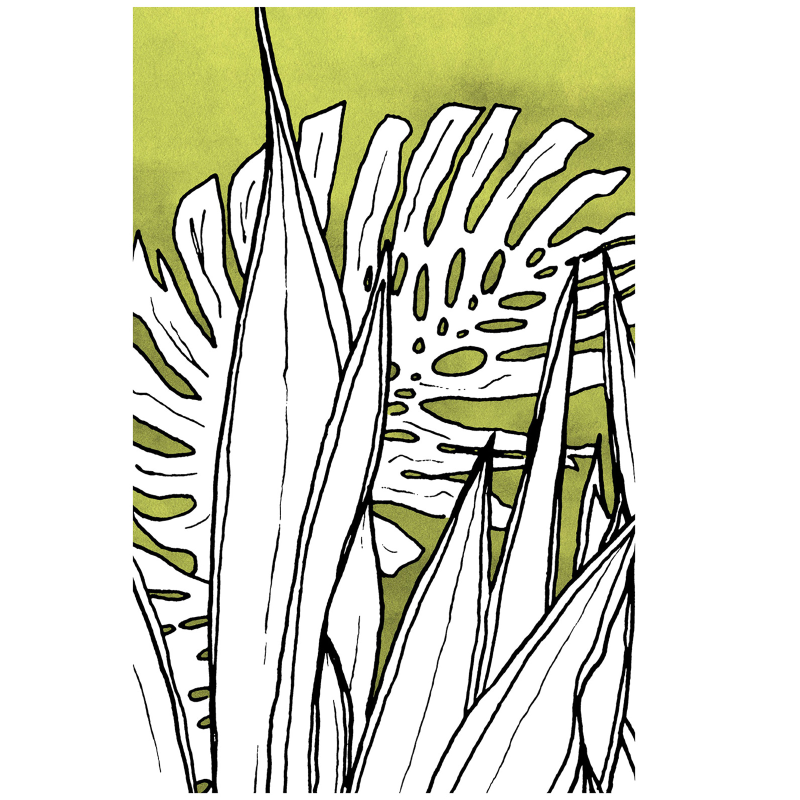 Wandbild DRIED LEAVES - grün-weiß - 50x70 cm