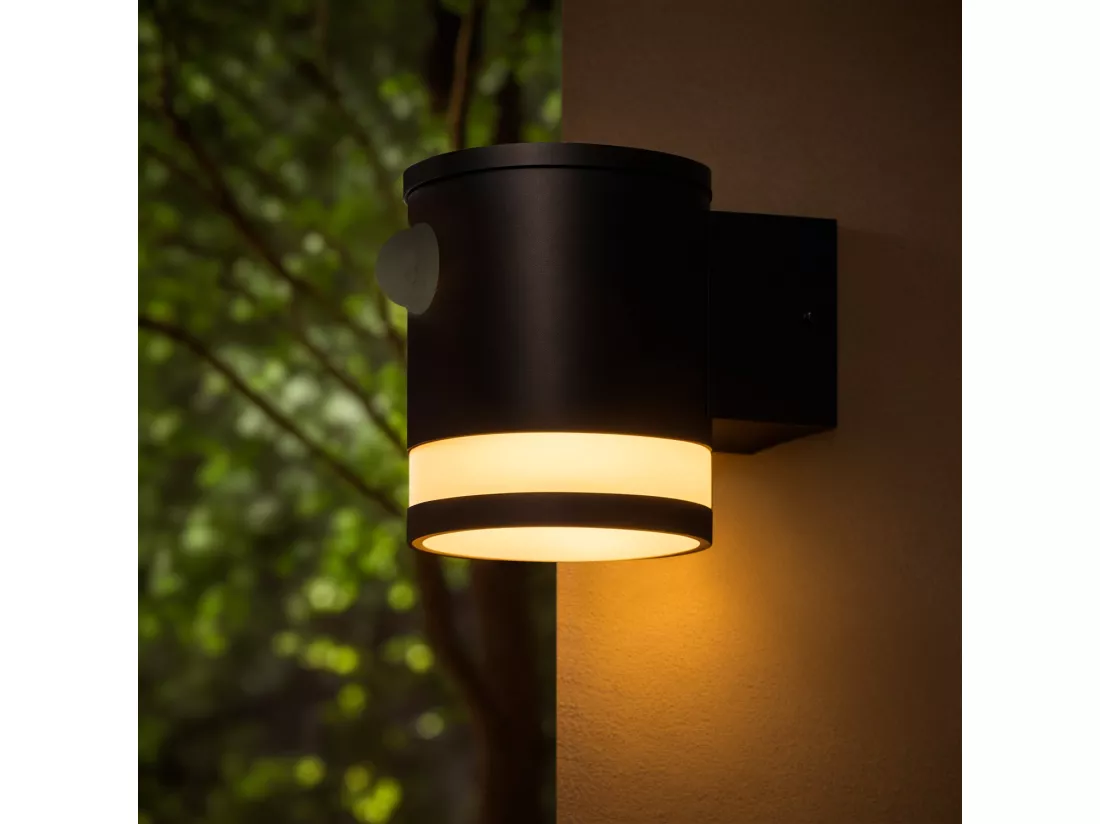 Applique Murale Extérieure Solaire LED Aluminium avec Détecteur de Mouvement Draco Noir