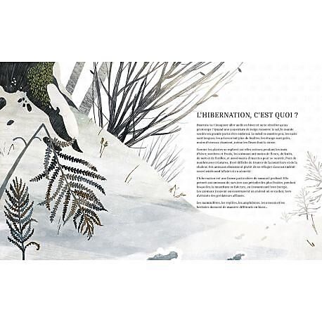 CARTOTHEQUE - SOMMEIL D'HIVER - UNE HISTOIRE D'HIBERNATION