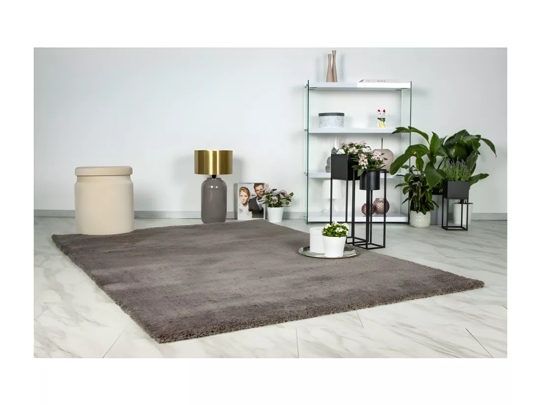Tapis 170x120cm, design D005M coloris taupe - Confort et élégance pour votre intérieur