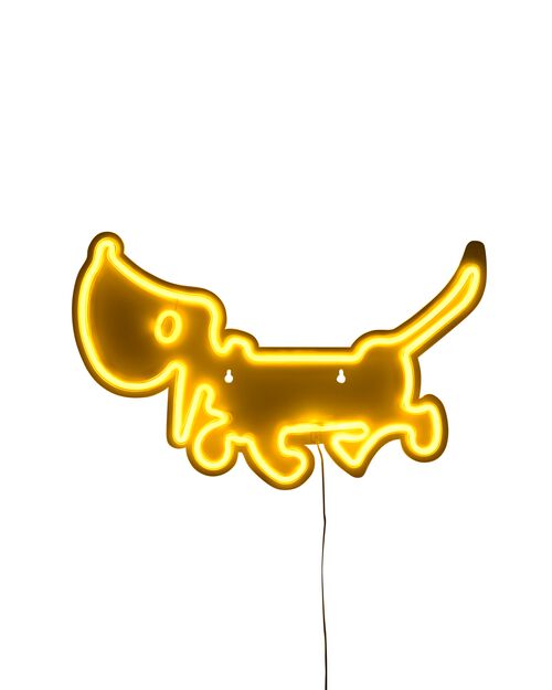 Lampe LED néon Takkie