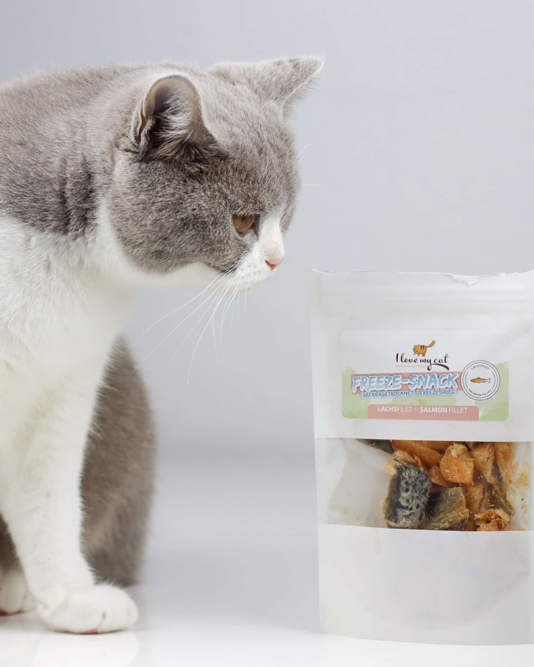 I love my cat Freeze-Snack für Katzen - Lachsfilet (gefriergetrocknet)
