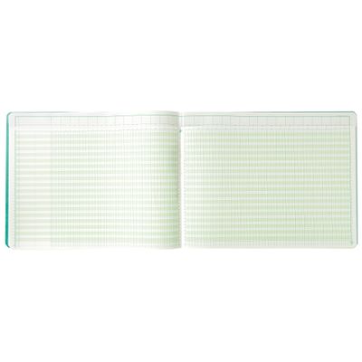 Exacompta - Piqûre à tête paresseuse - 32 colonnes sur 2 pages - 29,7 x 38 cm - 80 pages