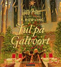 Harry Potter; Jul på Galtvort