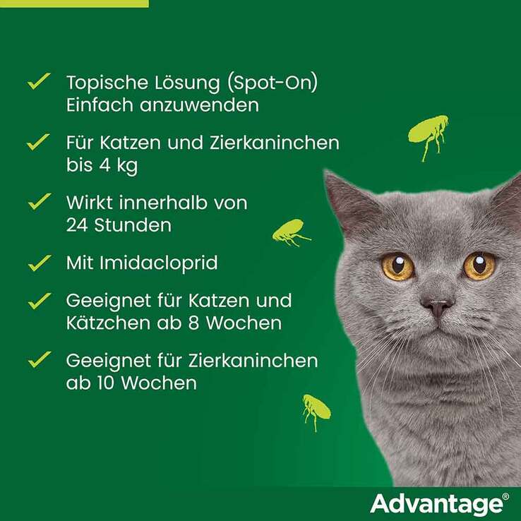 Advantage 40 für kleine Katzen und Zierkaninchen unter 4 kg, 4X0.4 ml