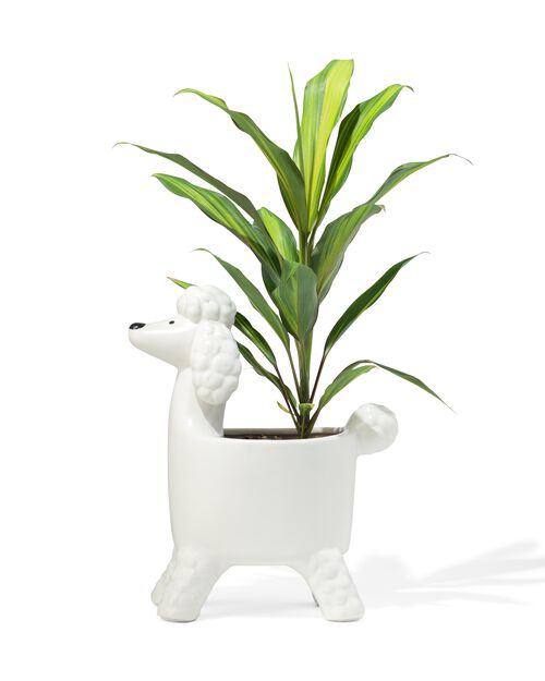 pot de fleurs caniche 19 x 15 x 33 cm