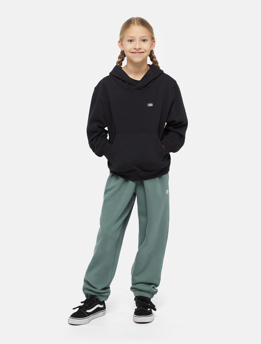Dickies Youth Oakport Hoodie XS