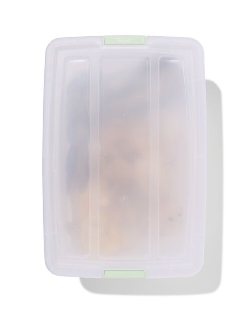 boîte de rangement avec couvercle 30L Tokyo transparent 58x39.5x20.5