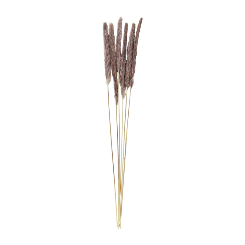 Pluim smal - 6 stuks - 70 cm