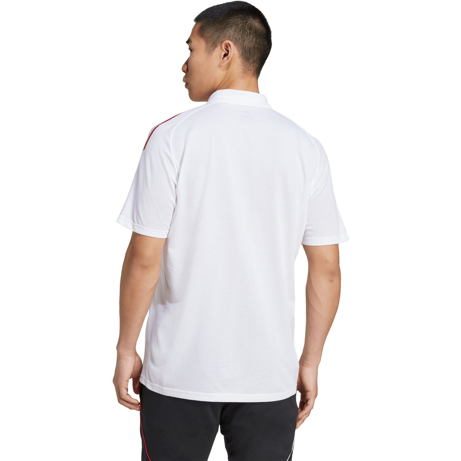 adidas Ajax Polo Set