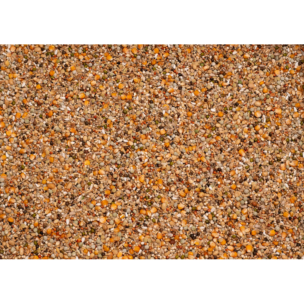 Beyers Premium Brilliant 20 kg