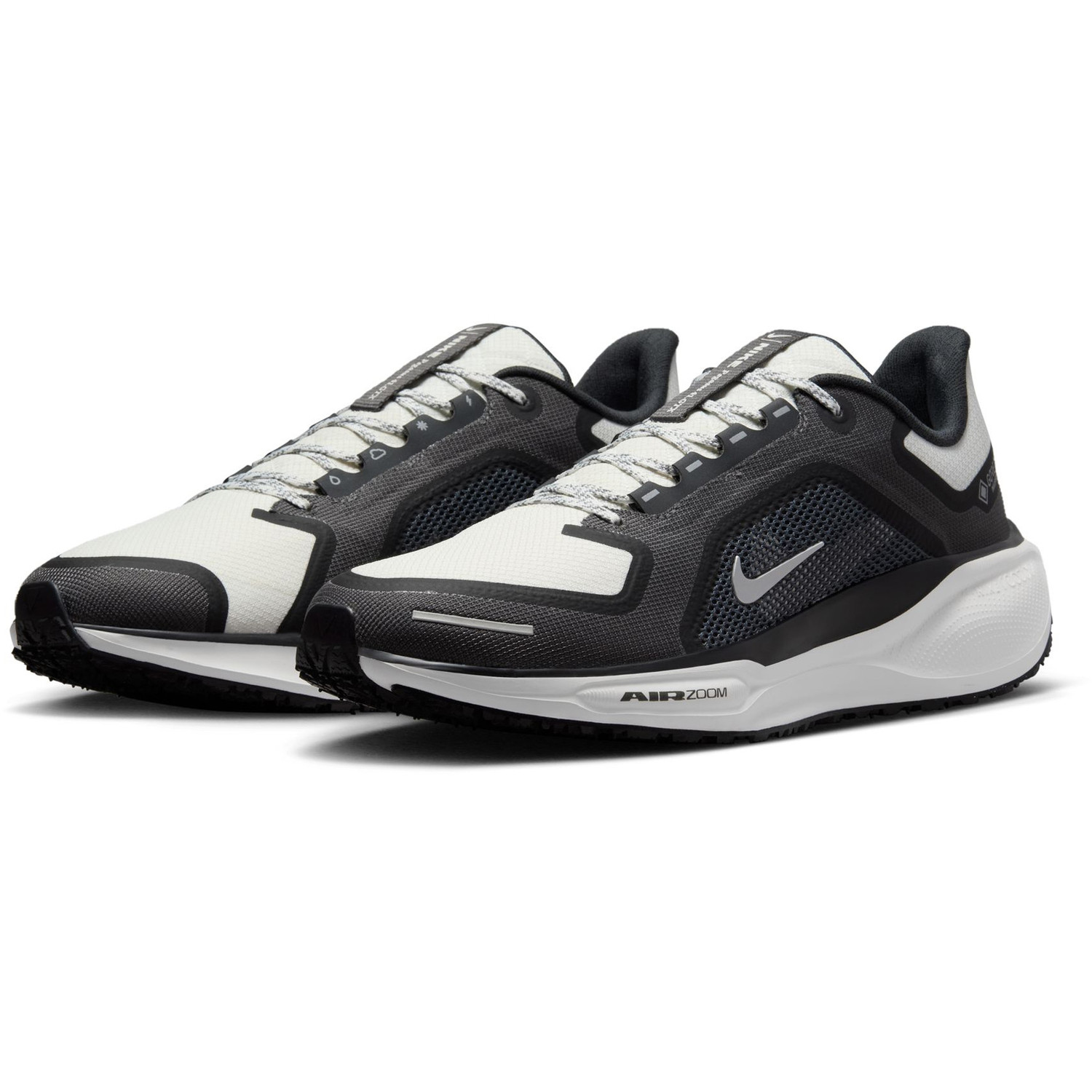 Nike Pegasus 41 GTX Heren