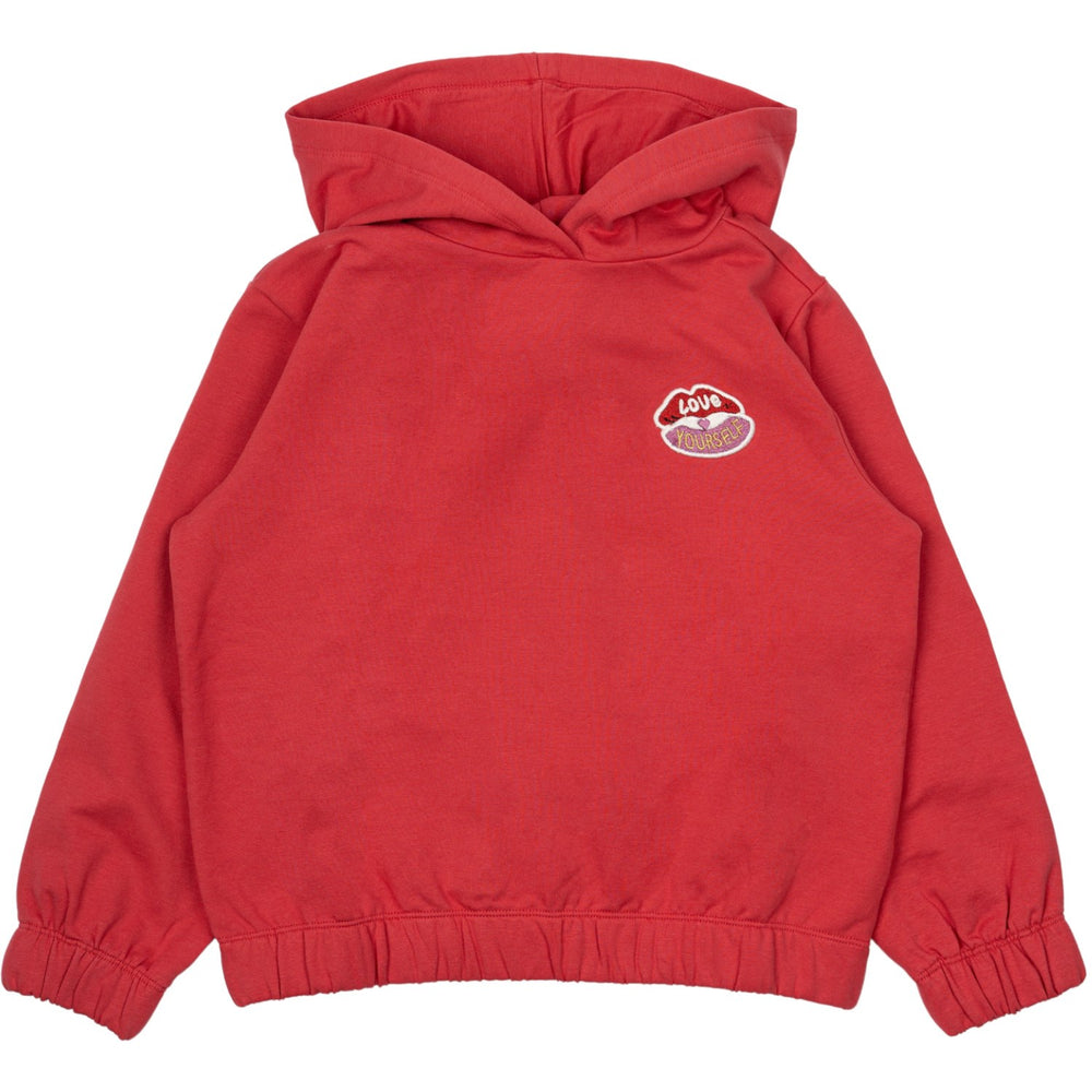 Køb The New Chrysanthemum Love OS Hoodie