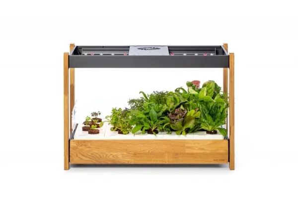 Click and Grow 25 - White (Salad Greens 54x pack)