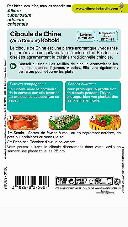 Graines Ciboule de Chine Kobold VL 1