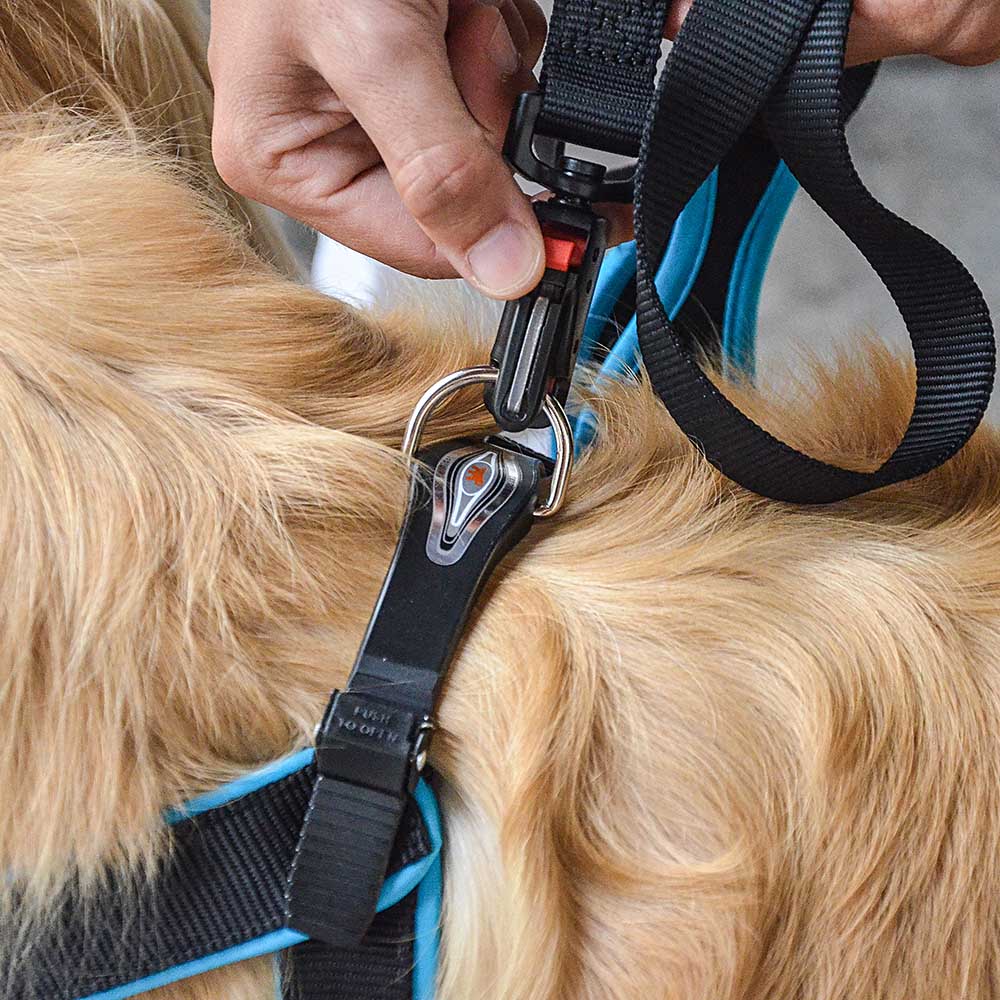 Ferplast harnais ergonomique pour chiens agila fluo 7, ajustement parfait, fermeture à double micro-régulation, rembourrage