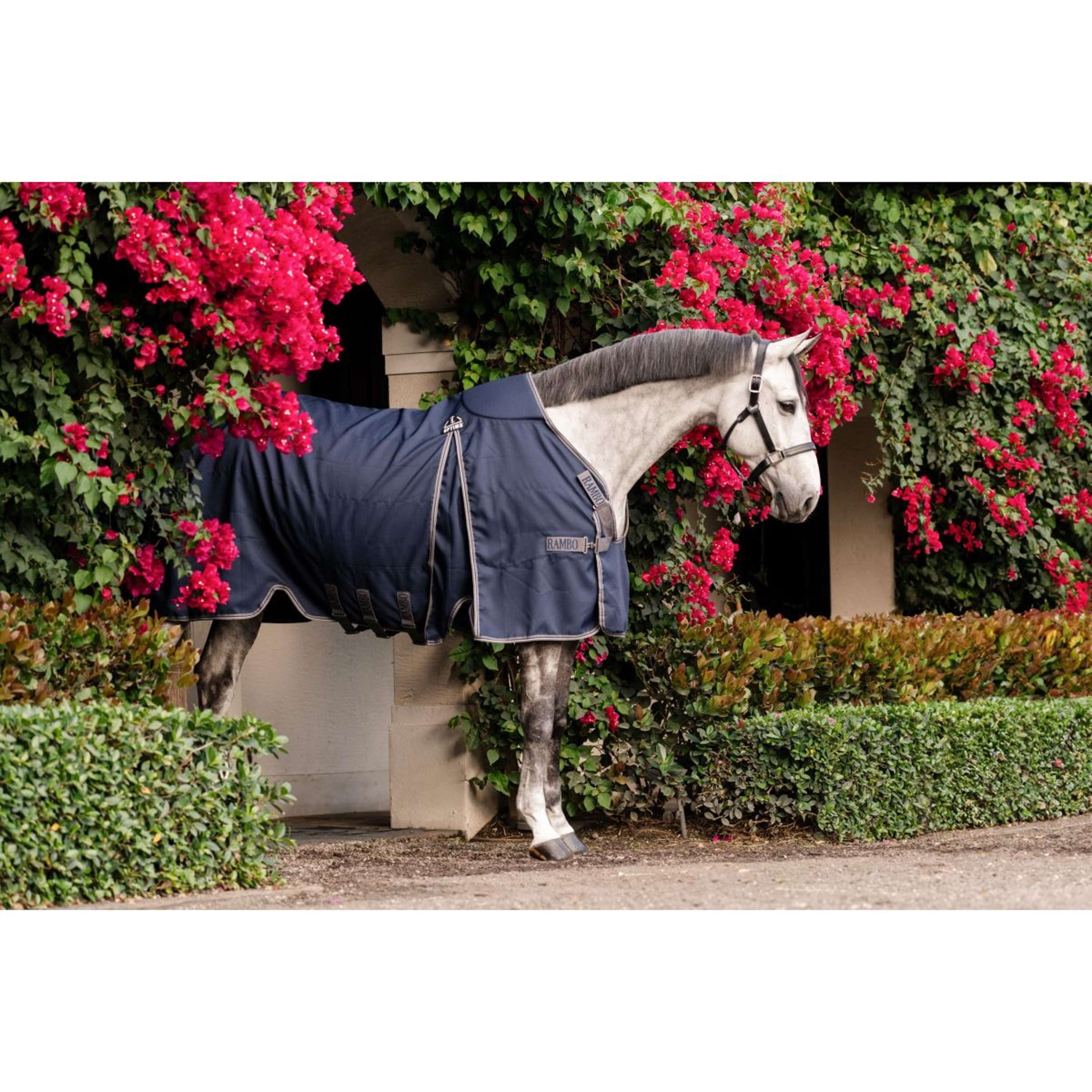 Rambo Optimo Staldeken New Navy/Thunderstorm Grey/Silver