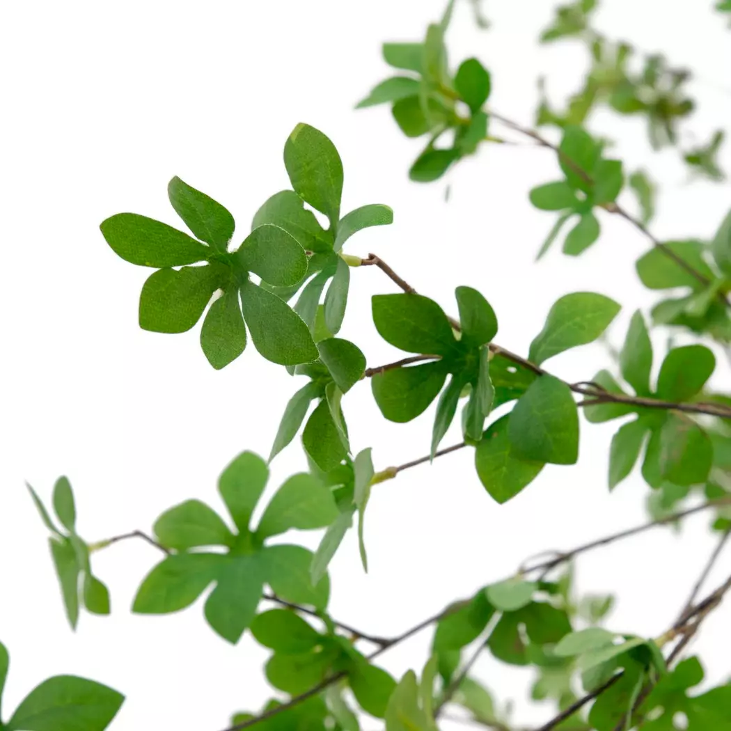 Kunstpflanze Enkianthus