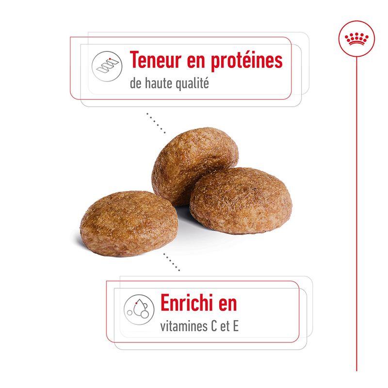 Royal Canin Medium Adult 7+ à prix discount sur bitiba.fr