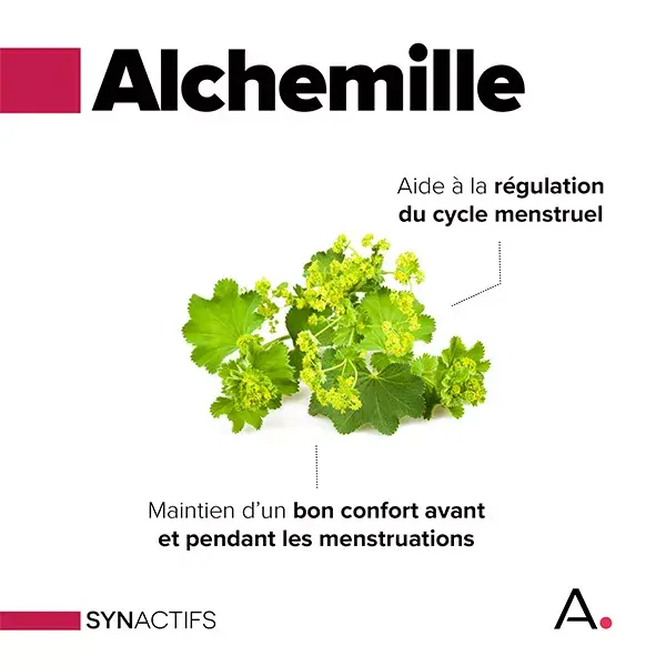 Synactifs Gynedys Protect Cycle Féminin 40 gélules