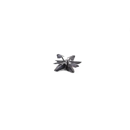 Gamer Grass Basis Gestaltung Pflanzen Black Magic Taro, 65er Packung