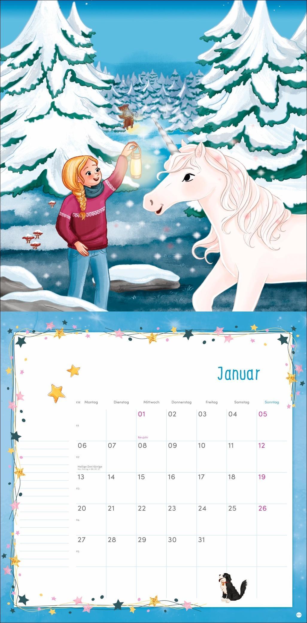 Sternenschweif Broschurkalender 2025