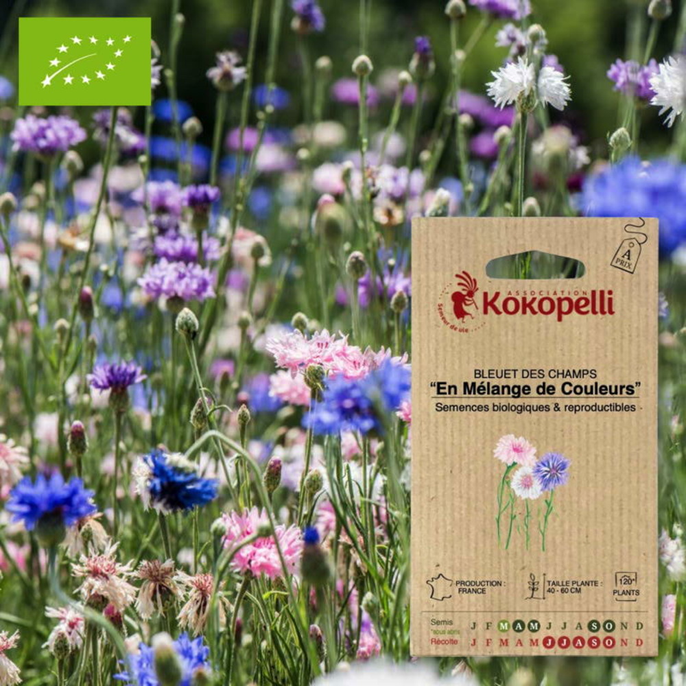 Sachet de graines bio à semerbleuet en mélange de couleurs