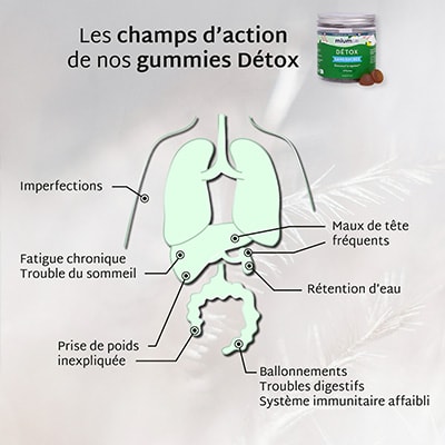 Cure gummies detox - Citron - Sans sucres - 2 mois