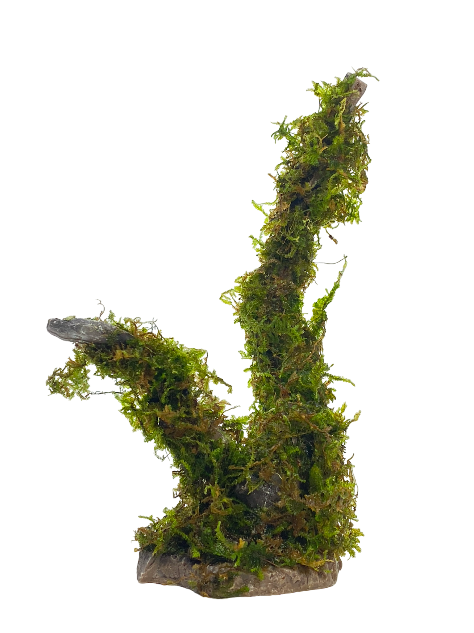 Waterplant Kunststofboom met beplanting