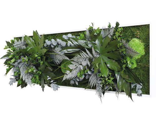 Plantenfoto jungle design lijst wit 140x40 cm