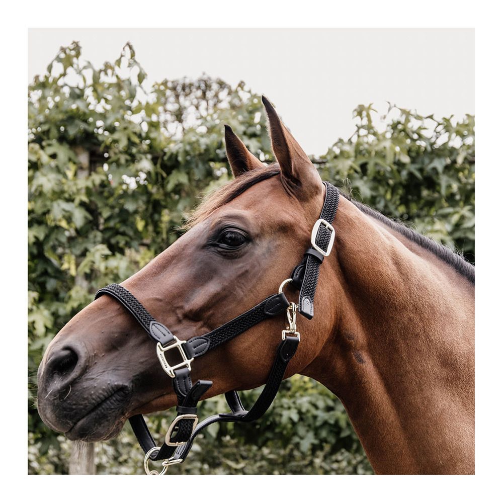 Kentucky NYLON TRESSÉ - Licol black