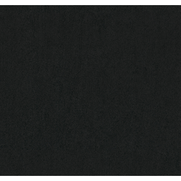 Tapijt kamerbreed Lexington zwart 400 cm per - cm