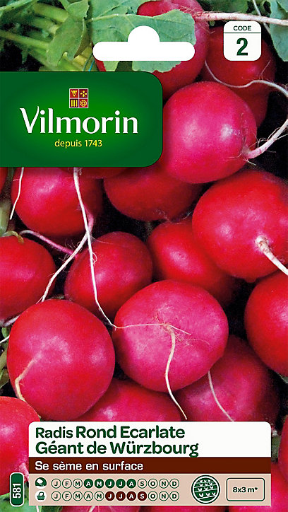 Graines de Radis Rond Ecarlate Géant de Wurzbourg Vilmorin