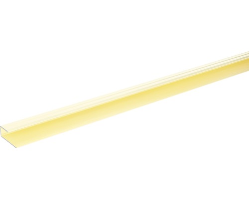 SKANDOR randprofiel, champagne geanodiseerd, voor 8-9 mm planken, 11x29x900 mm