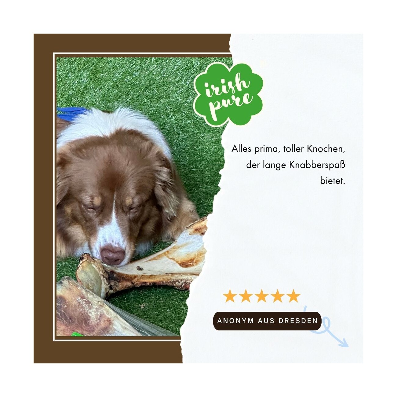 Irish Pure Roasted Paddle Bone