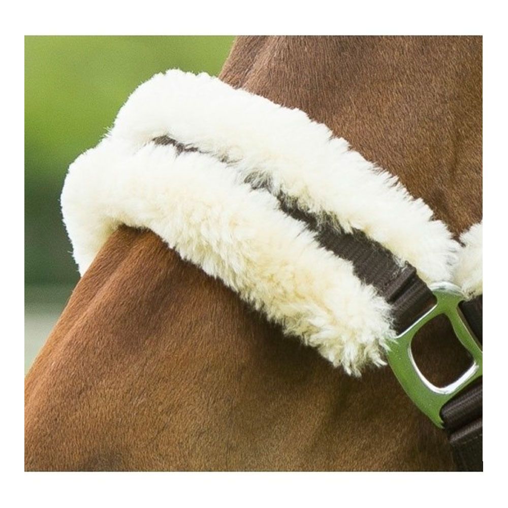 Equitheme TEDDY - Licol brun