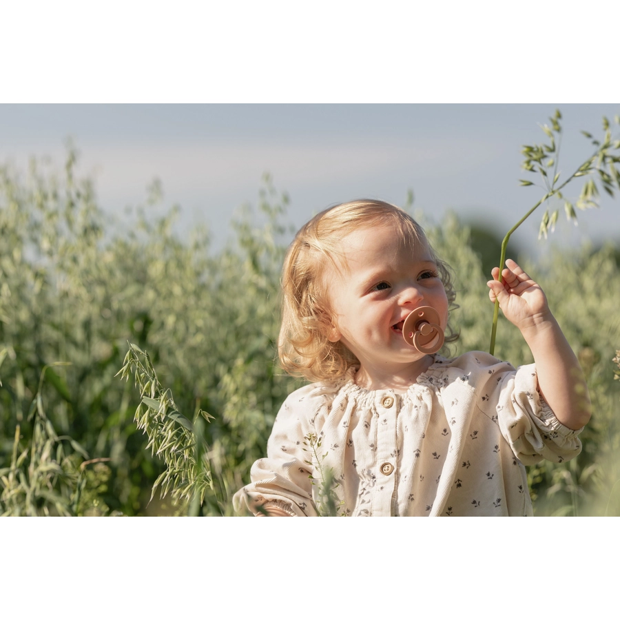 BIBS® Schnuller Colour PeachVanilla 6-18 Monate, 2 Stk.