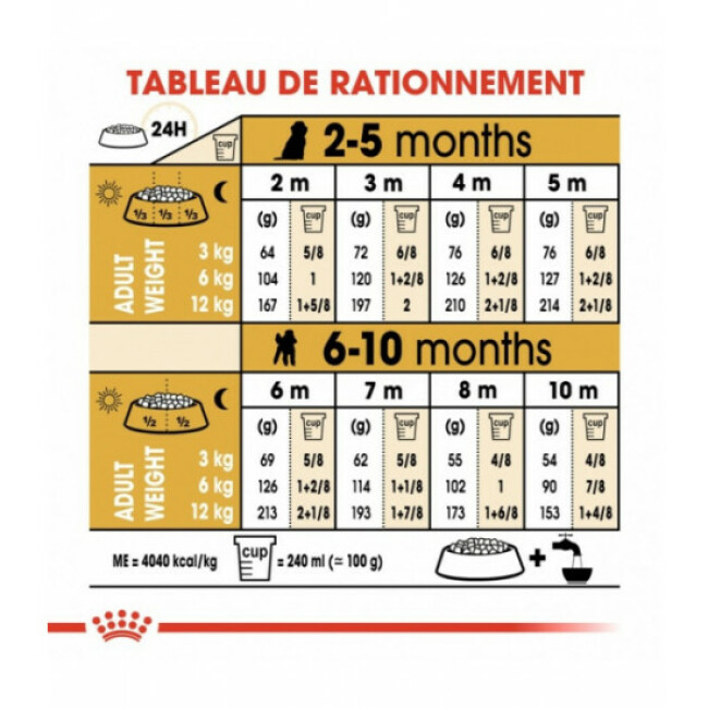 Croquettes Royal Canin Caniche Junior