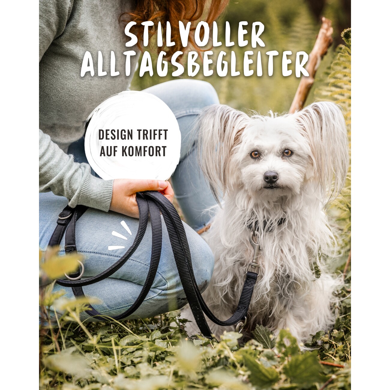 Rudelkönig Hundeleine - Führleine Bella schwarz
