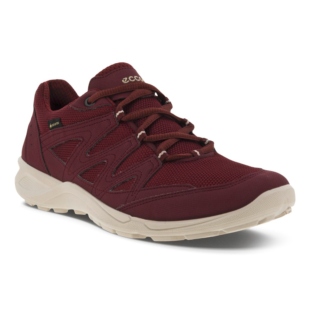 Ecco Terracruise LT Damenschuhe