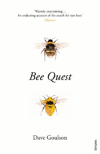 Bee Quest (Paperback)