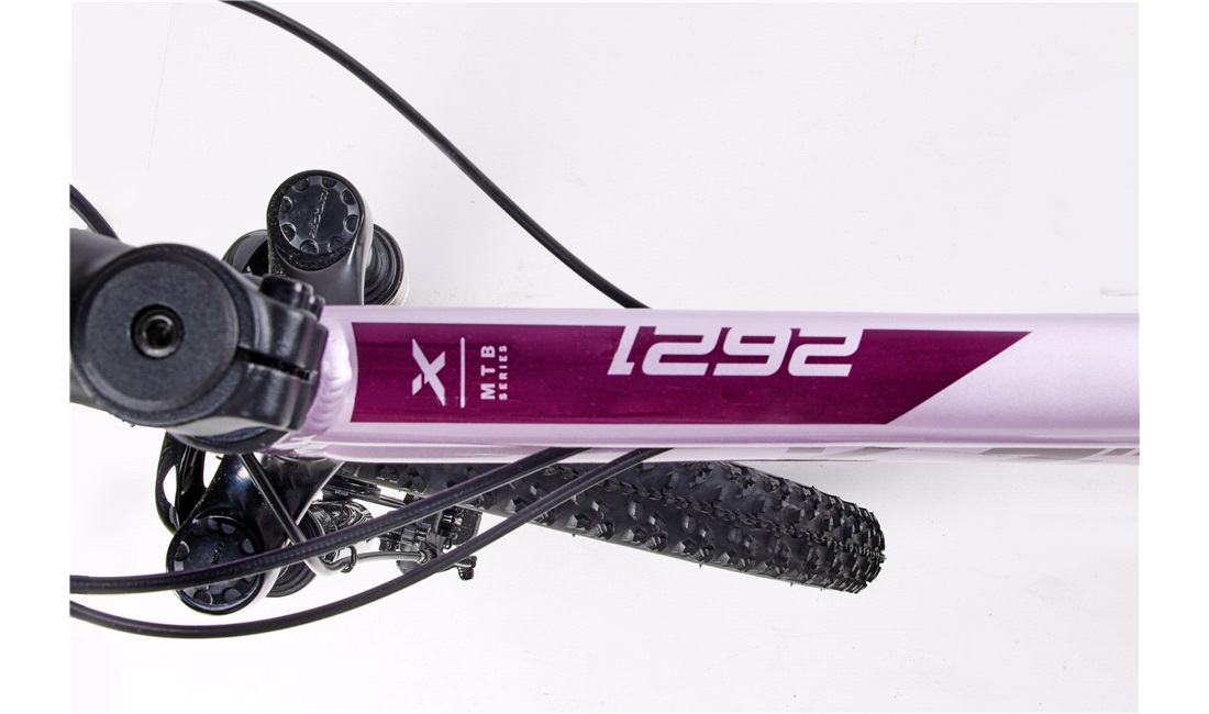 Mountainbike 2621 26