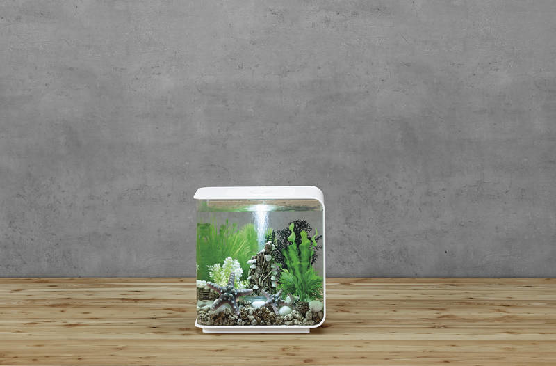 biOrb Flow 15 LED Wit | zoetwateraquarium met led en filter
