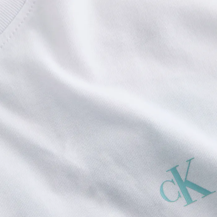 Calvin Klein Painted Backlogo Shirt Heren