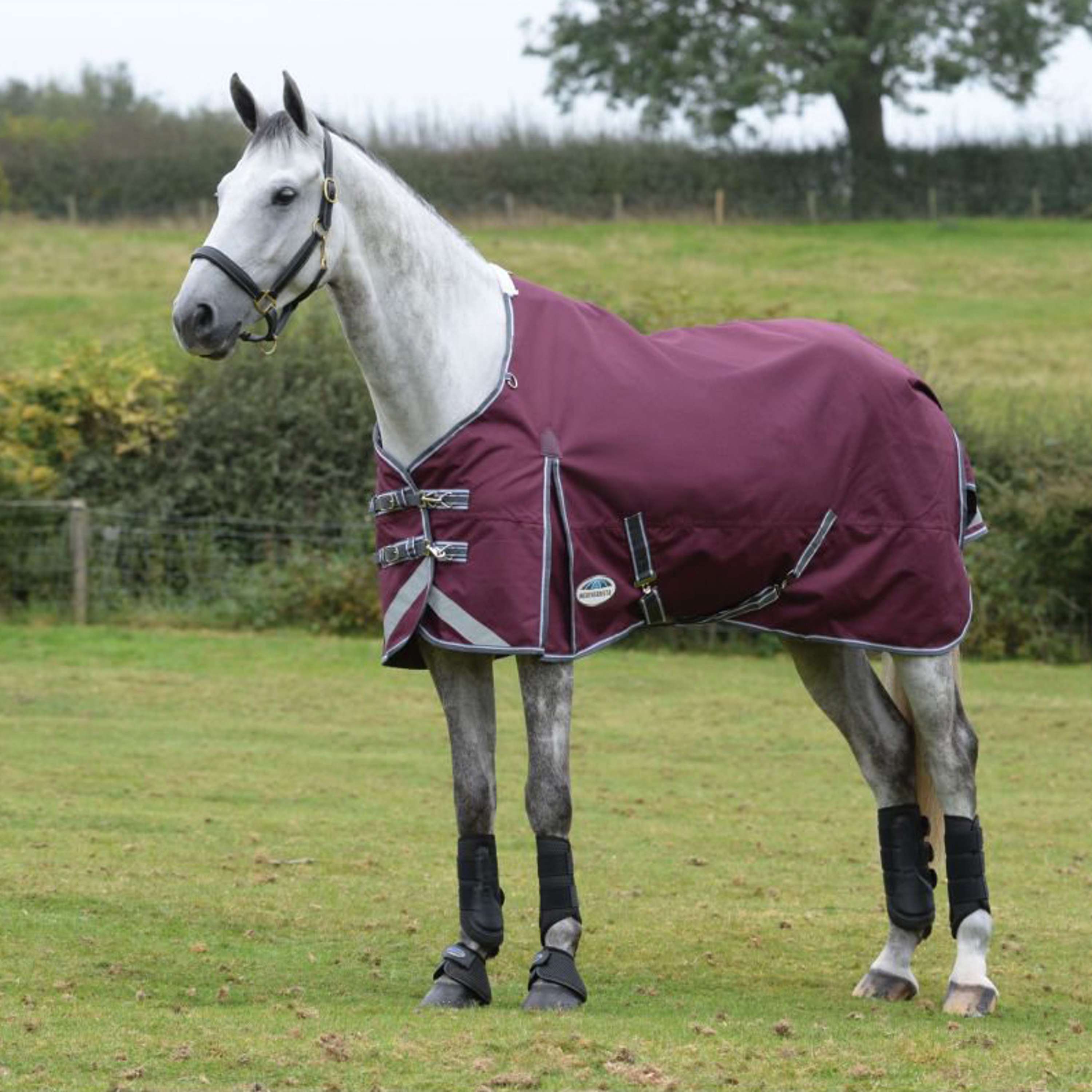 WeatherBeeta Winterdeken ComFiTec Plus Dynamic II Standard Neck Medium