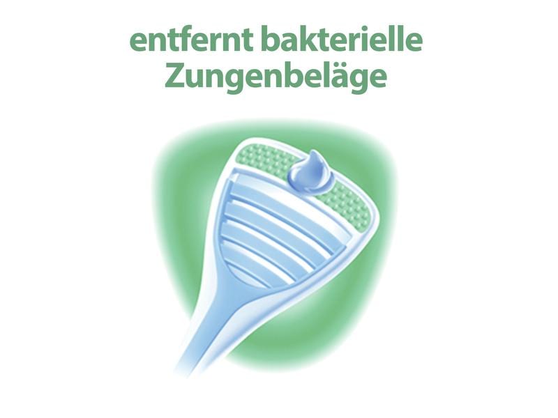 meridol Zungenreiniger Sicherer Atem 1 Stück Sanfte und effektive Reinigung der Zunge