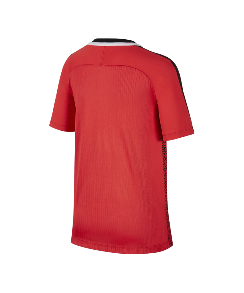 Nike Dry Academy T-Shirt GX2 Kids Rot F696