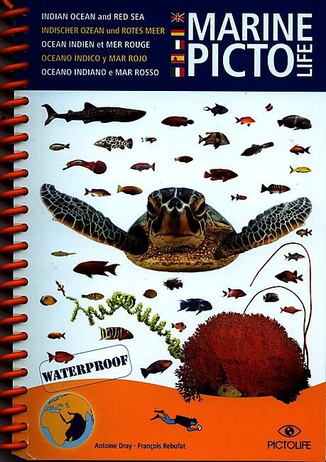 PICTOLIFE - PICTO MER ROUGE ET OCEAN INDIEN