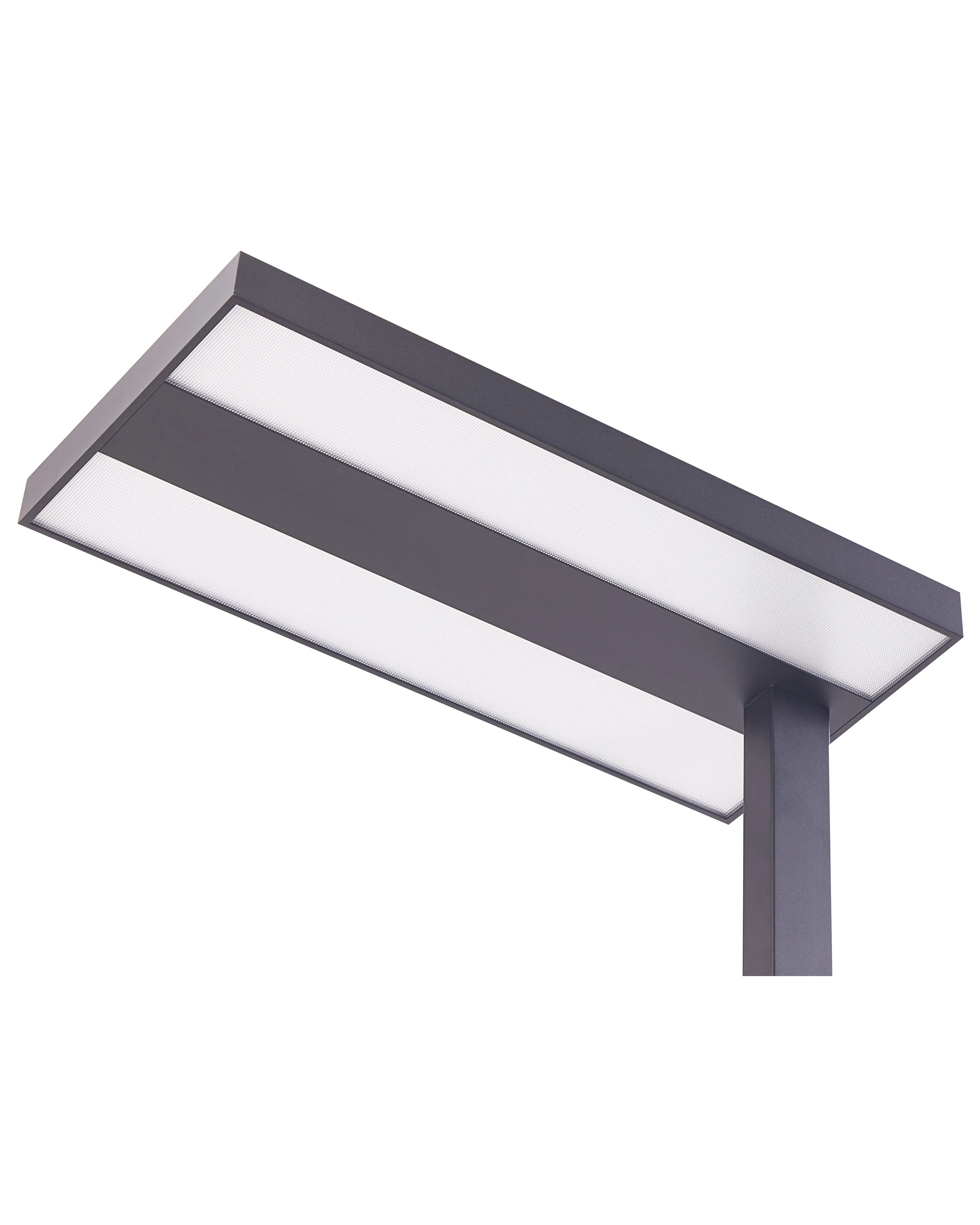LED staande lamp TAURUS met dimmer Metaal Zwart